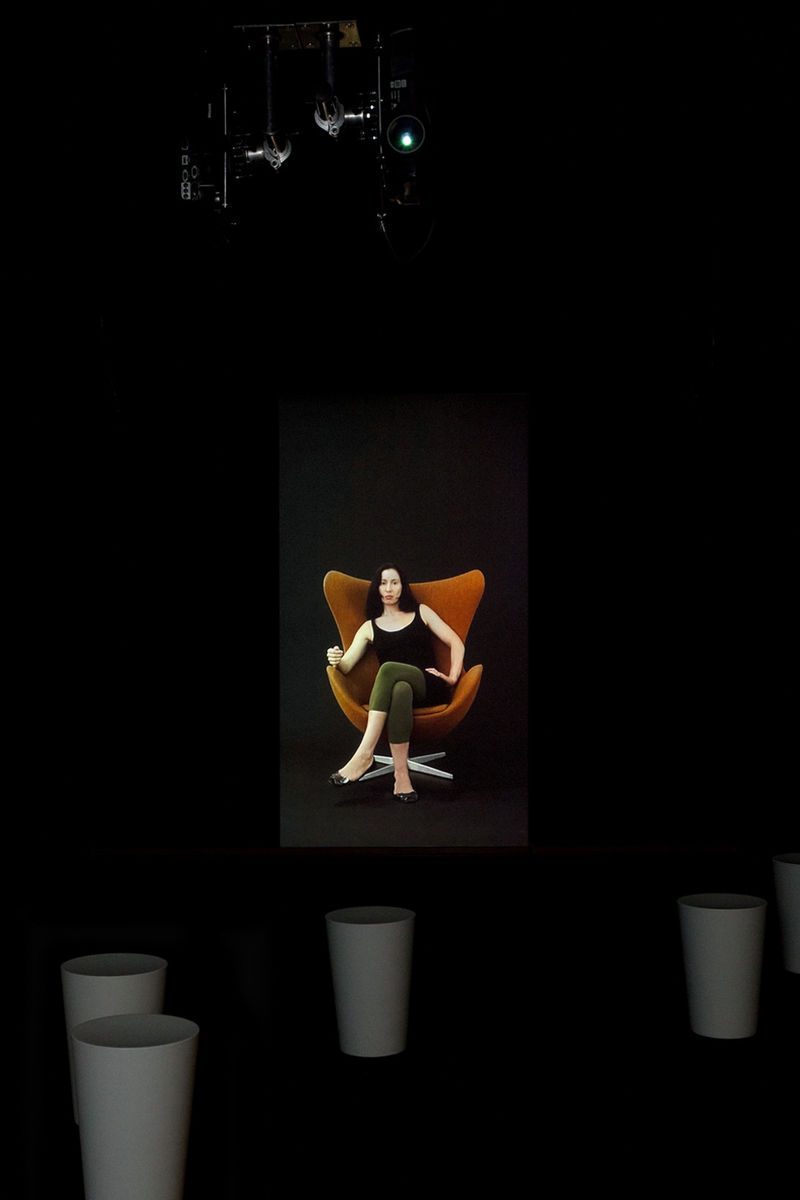 Andrea Fraser Projection, 2007