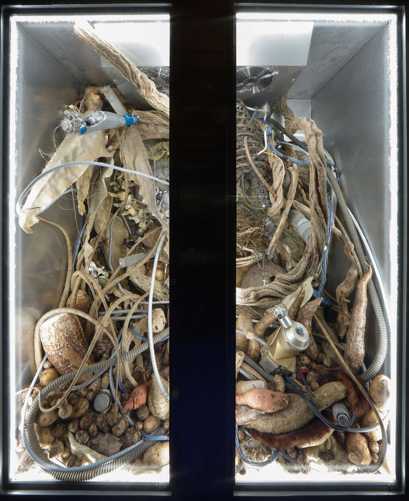 Adrián Villar Rojas From the series The Theater of Disappearance (XII), 2017-2018 Site-specific installation Dimensions variable 85 3/8 x 133...