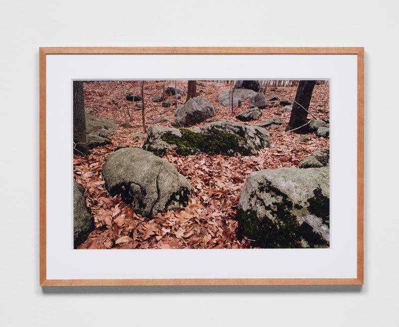 Ana Mendieta Untitled: Silueta Series, 1979 Color photograph 16 x 20 in. (40.6 x 50.8 cm) Edition of 20 plus...