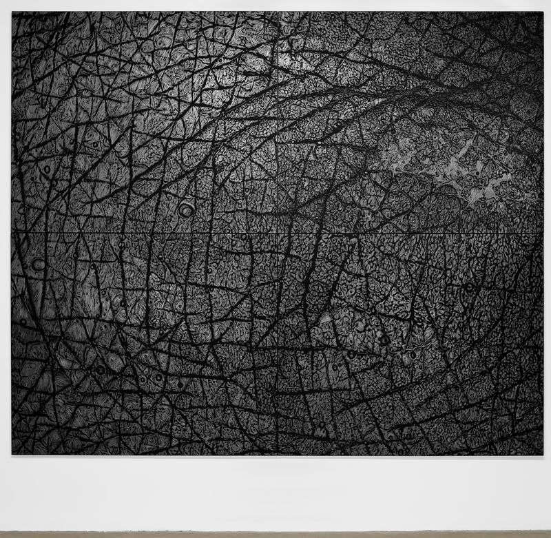 Giuseppe Penone Pelle di grafite - Riflesso di Manganite, 2004