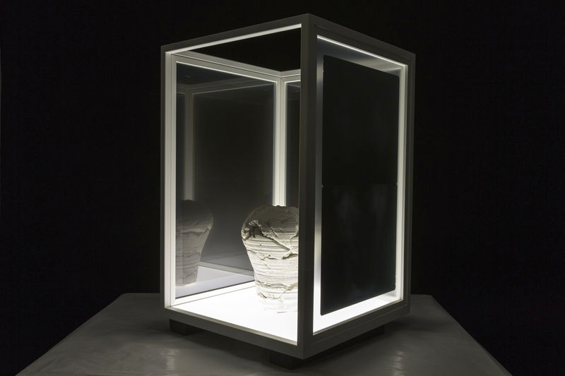 Giuseppe Penone Il vuoto del vaso, 2005