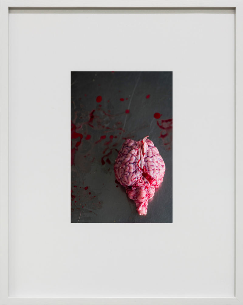Thomas Struth Gehirn (Encephalon), Leibniz IZW, Berlin, 2016