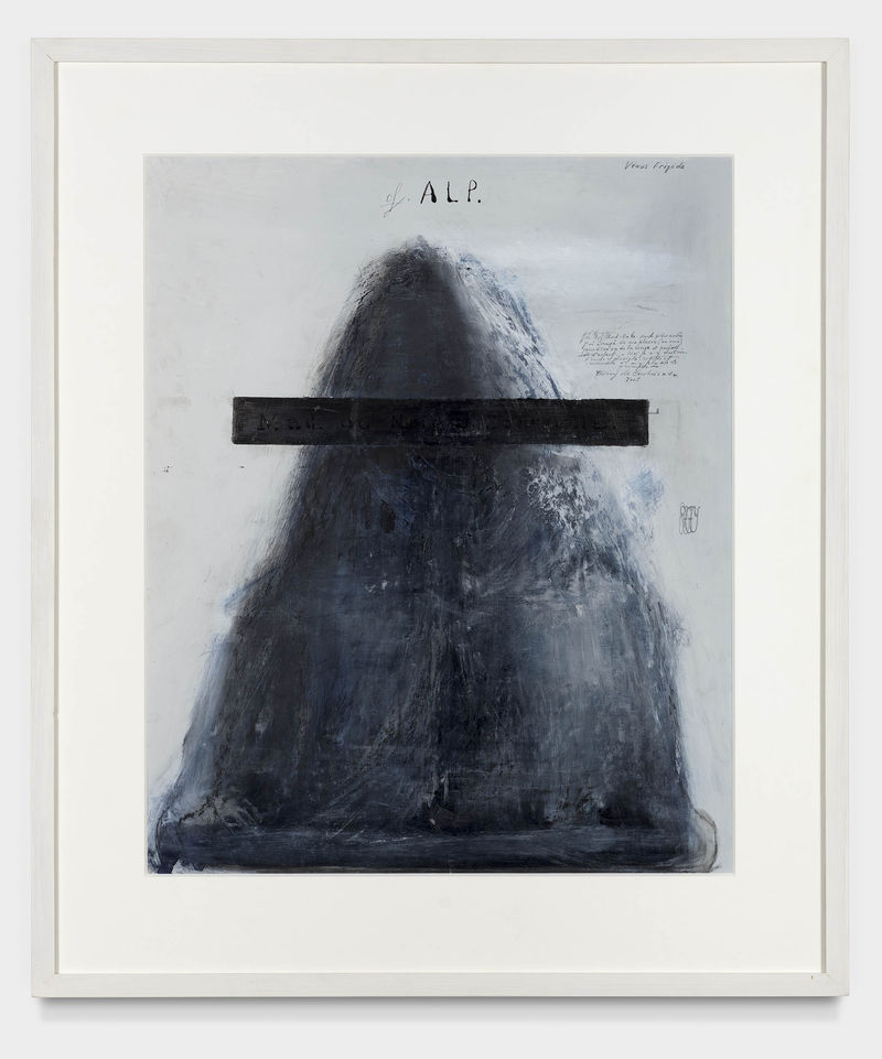 Thierry De Cordier Alp ( Pièce montèe), 2005