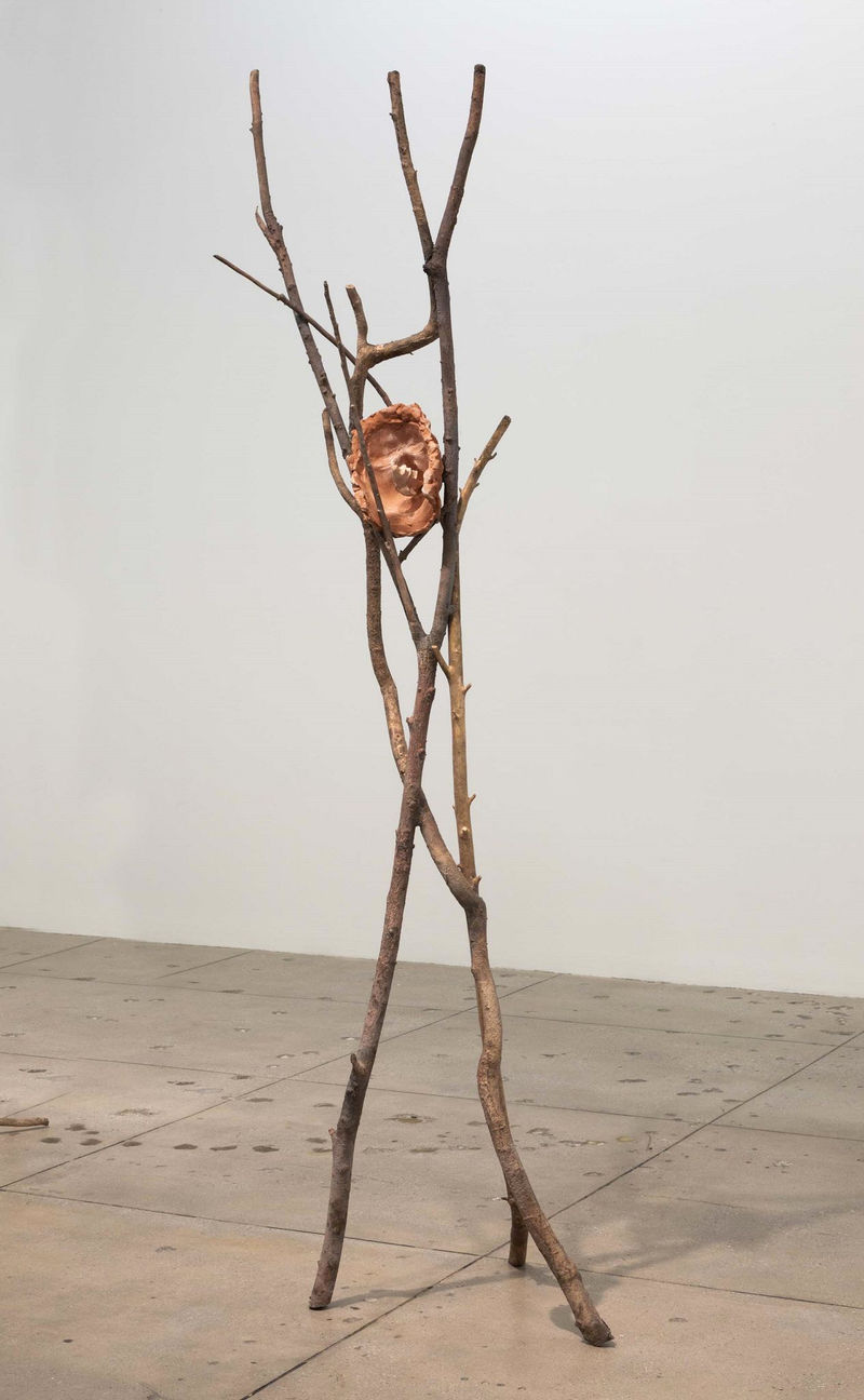 Giuseppe Penone Terra su terra - Volto (Earth on Earth - Face), 2014