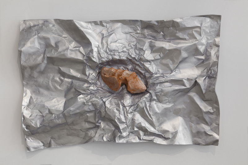 Giuseppe Penone Avvolgere la terra (To Enfold the Earth) (28), 2014