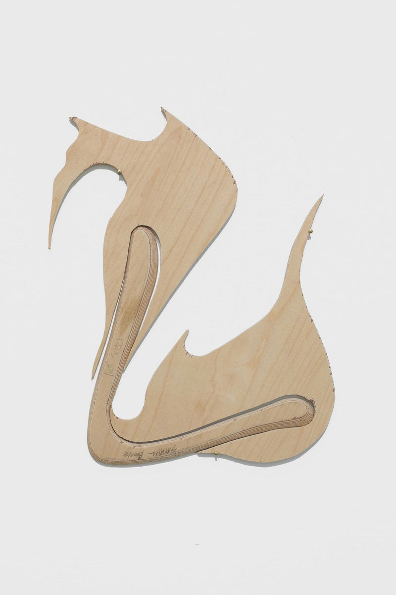 Gabriel Orozco Inner Cut: Small Bone, 2014