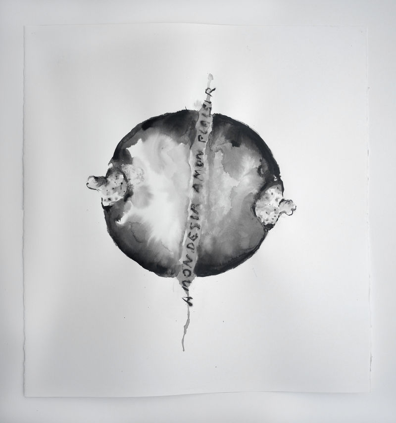 Annette Messager A mon désir...plaisir, 2017 Acrylic on paper 24 3/8 x 22 1/2 in. (62 x 57 cm)