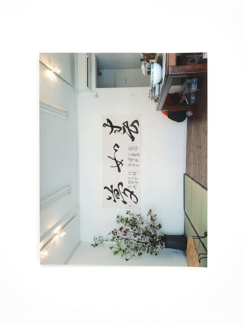 We are going home. Come on, let's go home