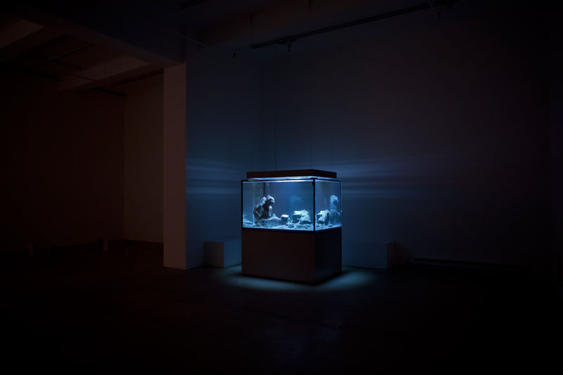 A large, lit aquarium with small fish lights up a dark room.