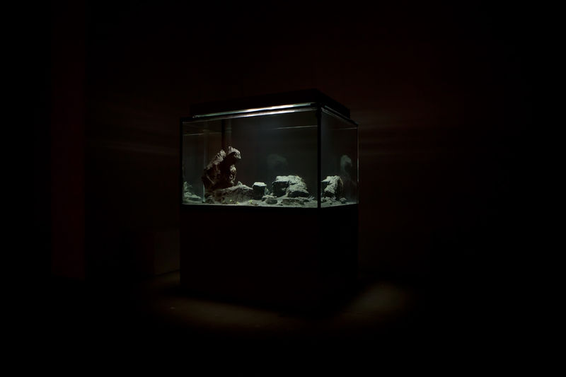 A large, lit aquarium with small fish lights up a dark room.