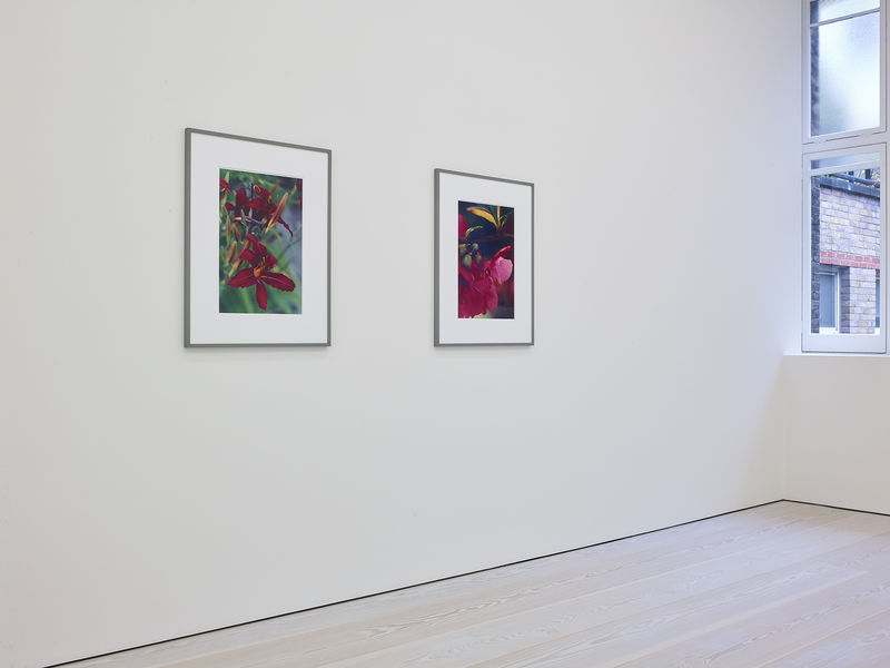 An exhibition installation view from: Thomas Struth