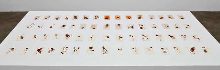 An exhibition installation view from: Gabriel Orozco