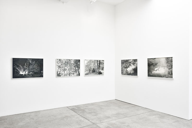 An exhibition installation view from: An-My Lê