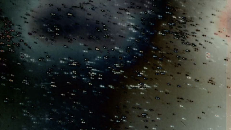 detail of work by Matt Saunders