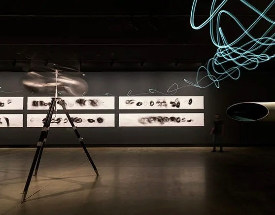 Cameron Robbins, Field Lines