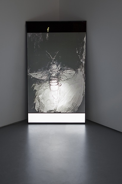 Philippe Parreno With a Rhythmic Instinction to be Able to Travel Beyond Existing Forces of Life (Purple + Red, Rule...