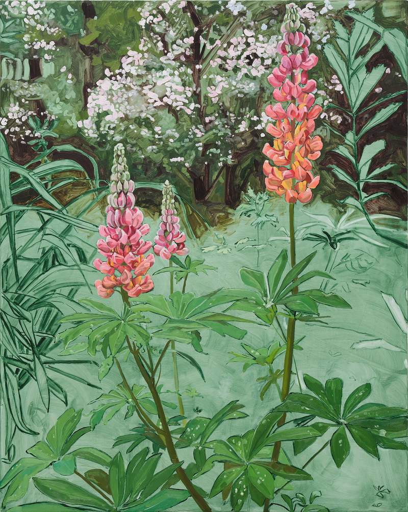 Jordan Casteel Lupine2024 Oil on canvas 127 x 101.6 x 3.6 cm 50 x 40 x 1 3/8 in