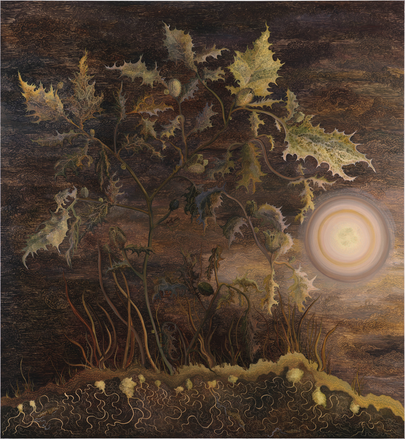 Georg Wilson Vespertine (Thorn Apple)2025 Oil on linen 195 x 180 cm 76 3/4 x 70 7/8 in