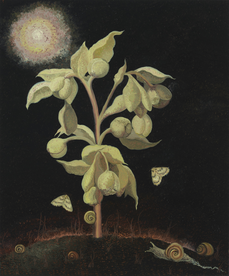 Georg Wilson Spectre (Fetid Hellebore)2025 Oil on copper Unframed: 30 x 25 cm 11 3/4 x 9 7/8 in Framed:...