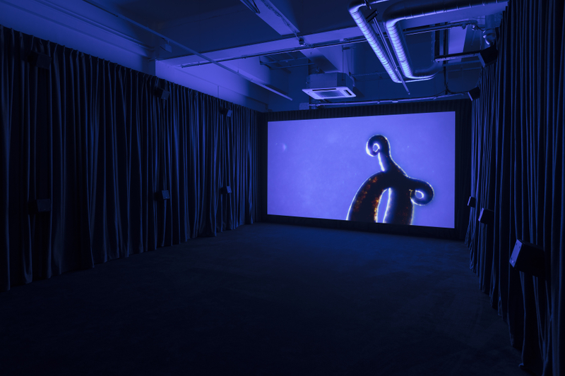 Philippe Parreno, Pilar Corrias, London, 3 October - 10 November 2018