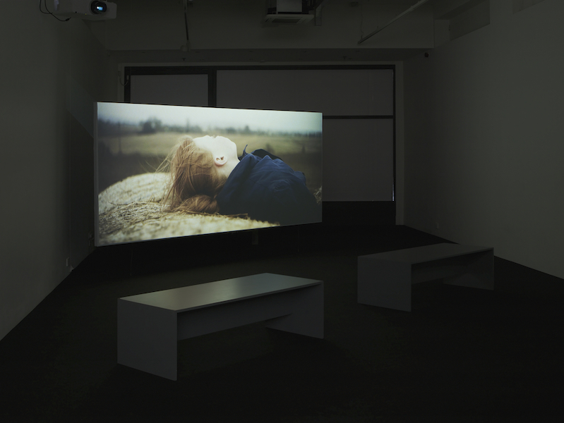 John Skoog: Sent på Jorden and Förår, Pilar Corrias, London, 22 November 2012 - 8 February 2013