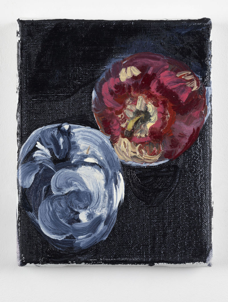 Peter Schmersal Two apples, 2017