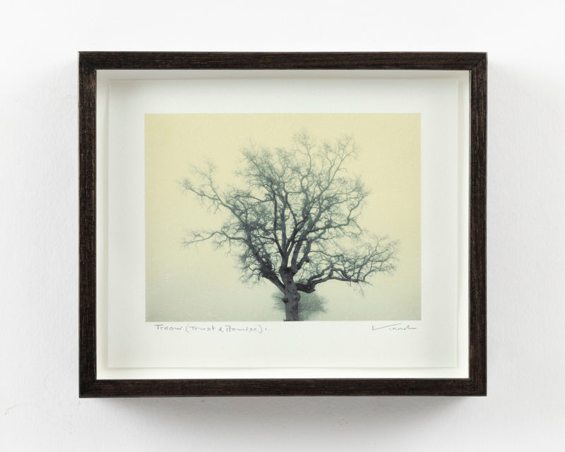 Nadav Kander Treow V (Trust and Promise), Wales, 2021