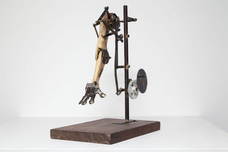 Tim Lewis Salutation, 2016