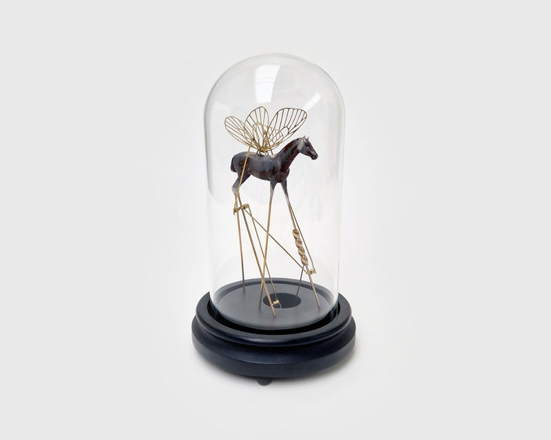 Jane Edden Halteres, 2024