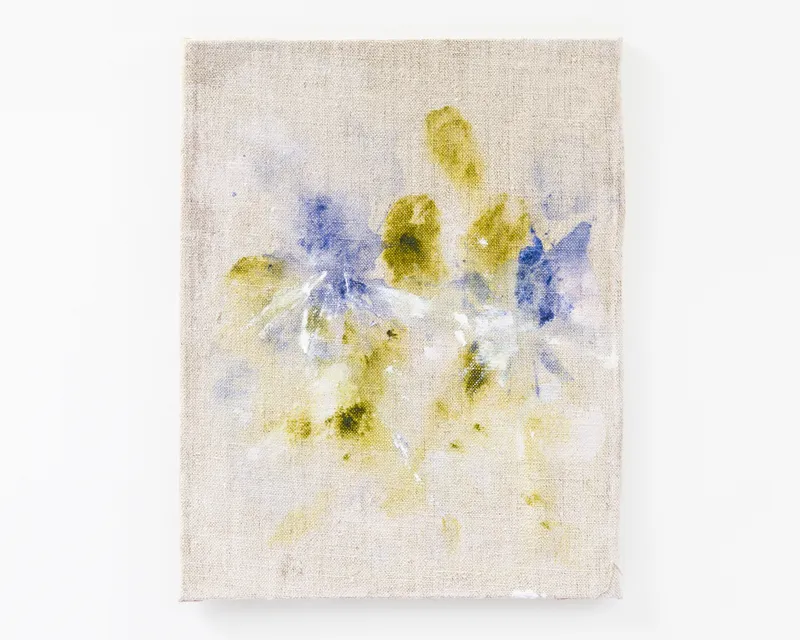 Bianca Raffaella Eryngium Blue Thistle, 2024