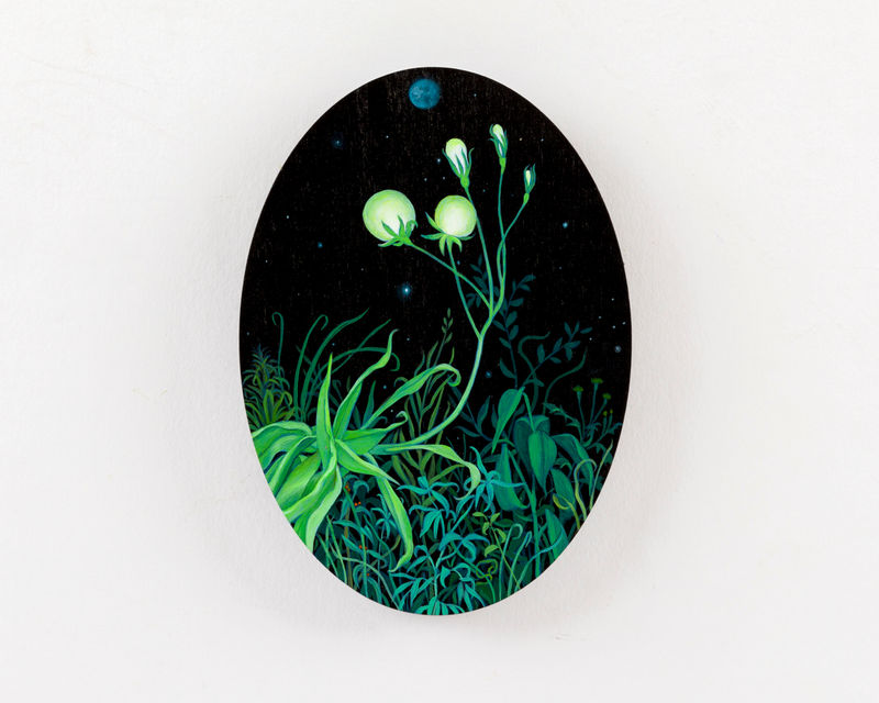 Zachari Logan Fantasy Flower Series, Nocturne No. 3, 2024