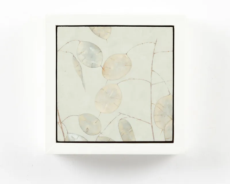 Rachel Sard Lunaria (Damascus) II, 2024