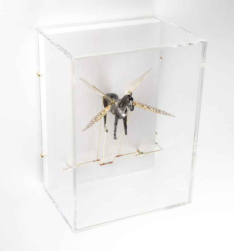 Jane Edden, Tabanidae, 2014