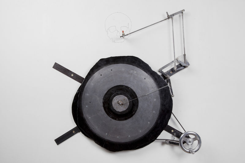 Tim Lewis Skull, 2016