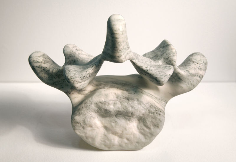 Stephen Shaheen Bone, 2014