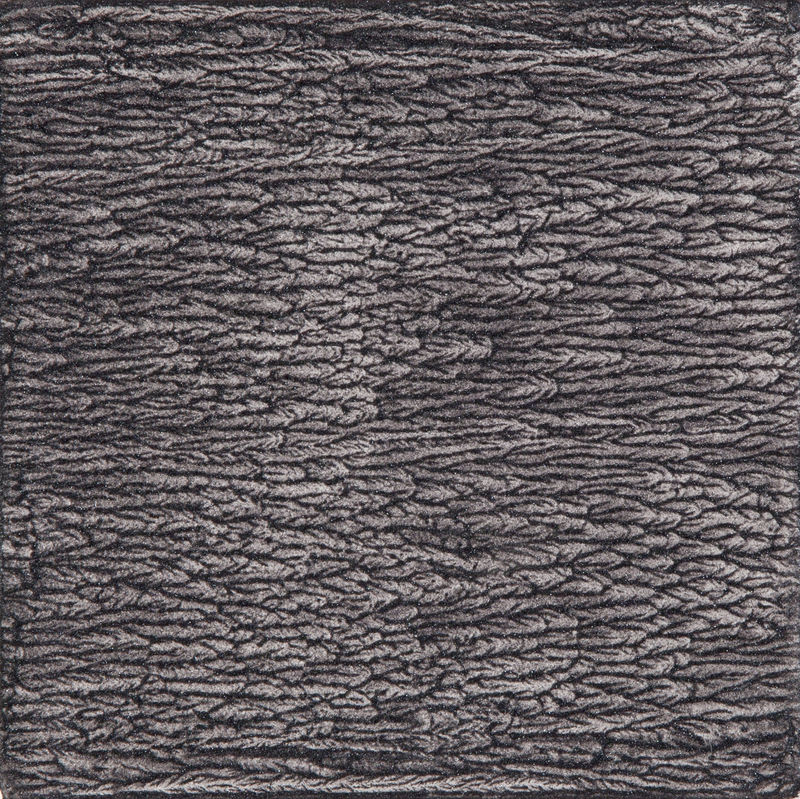 Manijeh Yadegar C8-2013, 2013