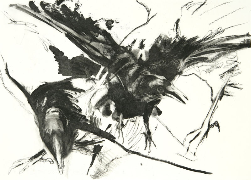 Nicola Hicks Crows, 2006