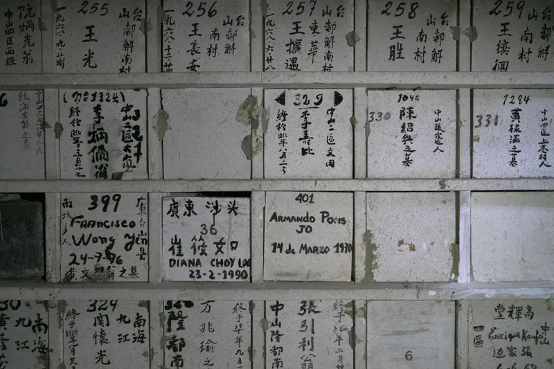 Luka Yuanyuan Yang Map of Home Village II, 2022