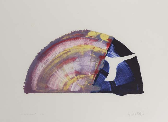 John Loker Wipeout 6, 2001