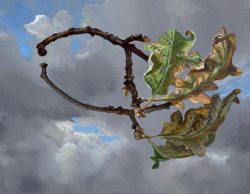Julian Perry Oak Leaves on Mirror Under Sky, 2014