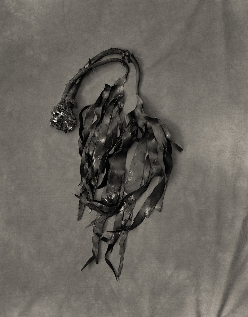 Esther Teichmann, Untitled from Mondschwimmen , 2015