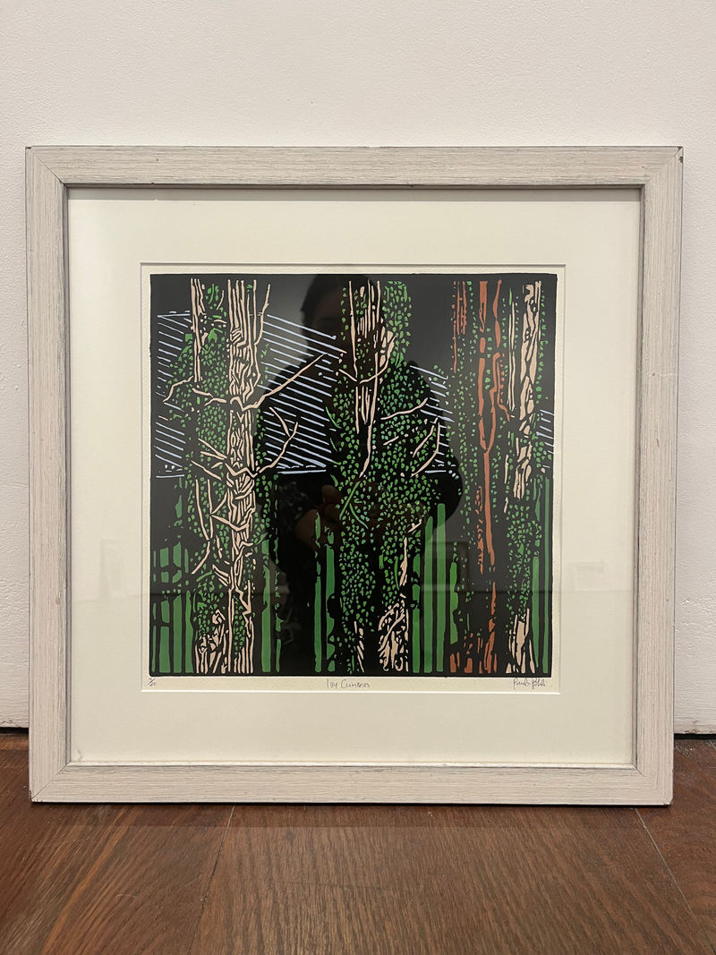 Paula Pohli Ivy Climbers, 2015