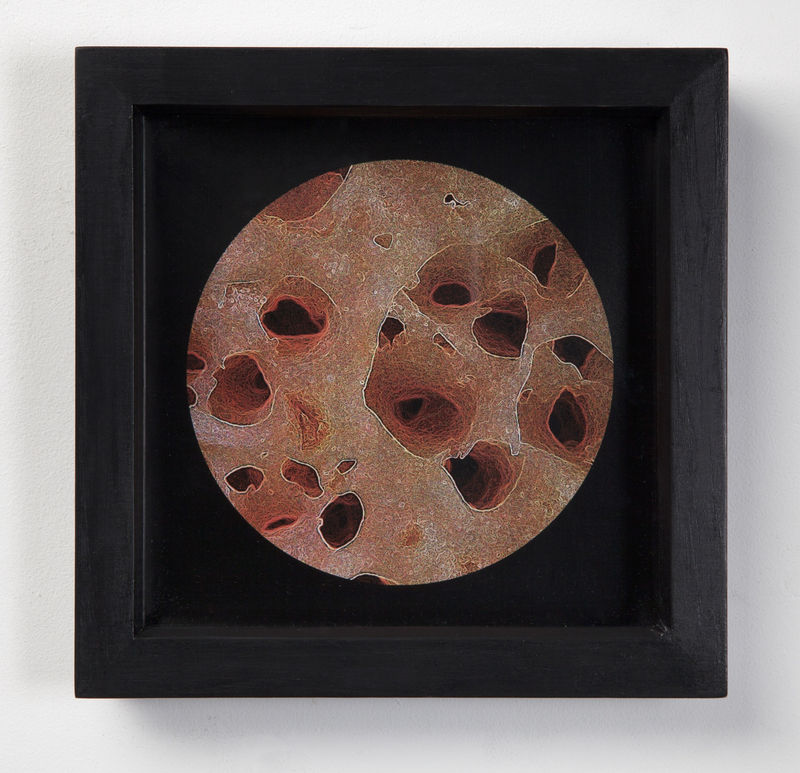 Peter Ellis Crumpits II, 2015