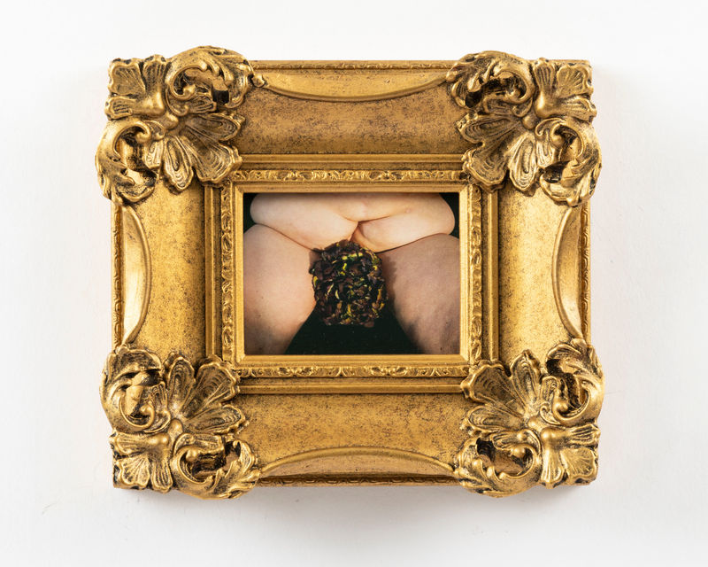 Bex Day Digitalis, 2023