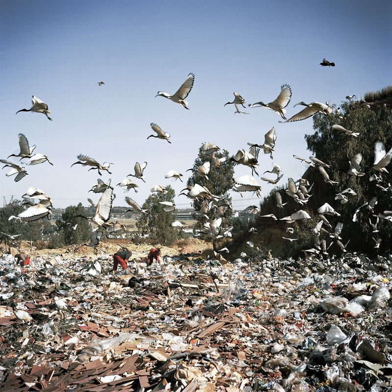 Jason Larkin Commercial Rubbish Dump, City Deep, Johannesburg, 2010