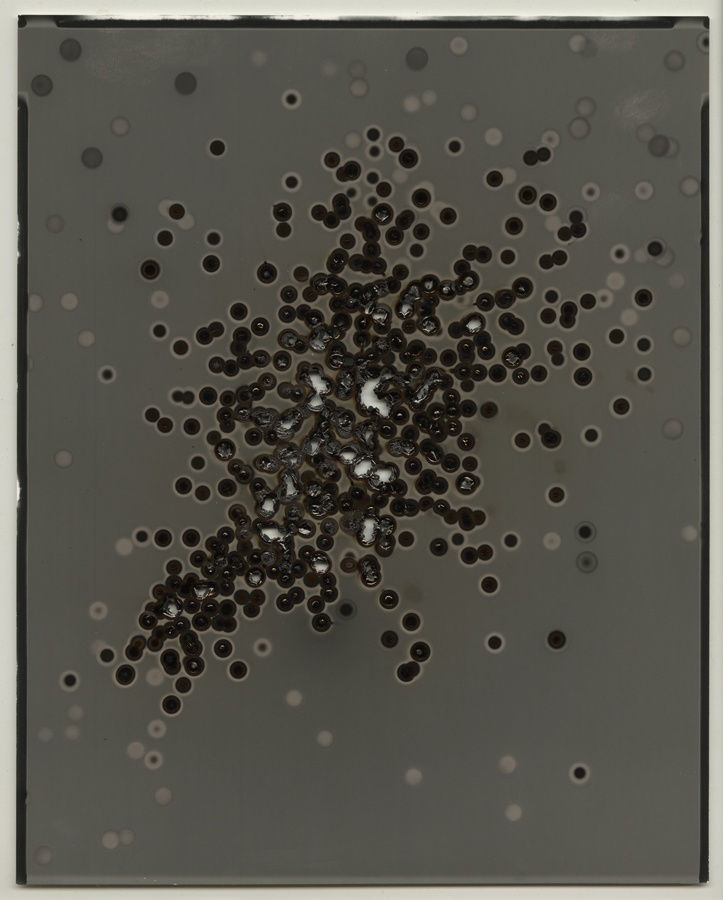 Chris McCaw Heliograph #39, 2014