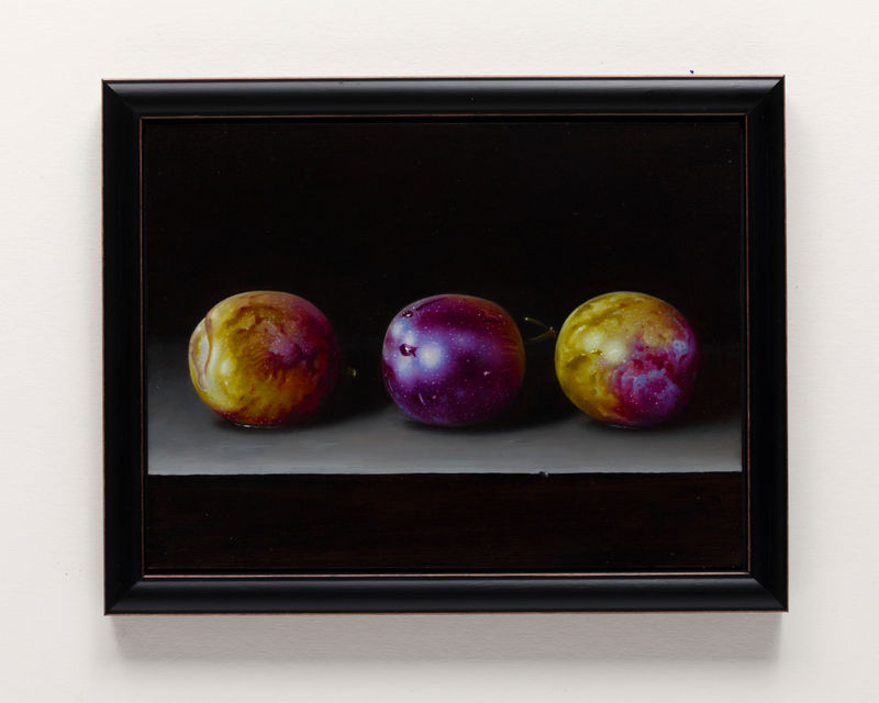 John Stark Three Damsons, 2023