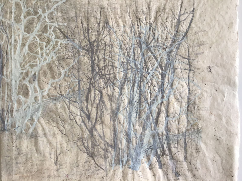 Victoria Crowe Clearing