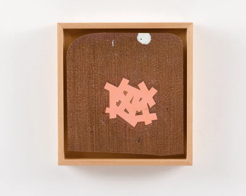 Deborah Lerner Fruit Protector, 2024