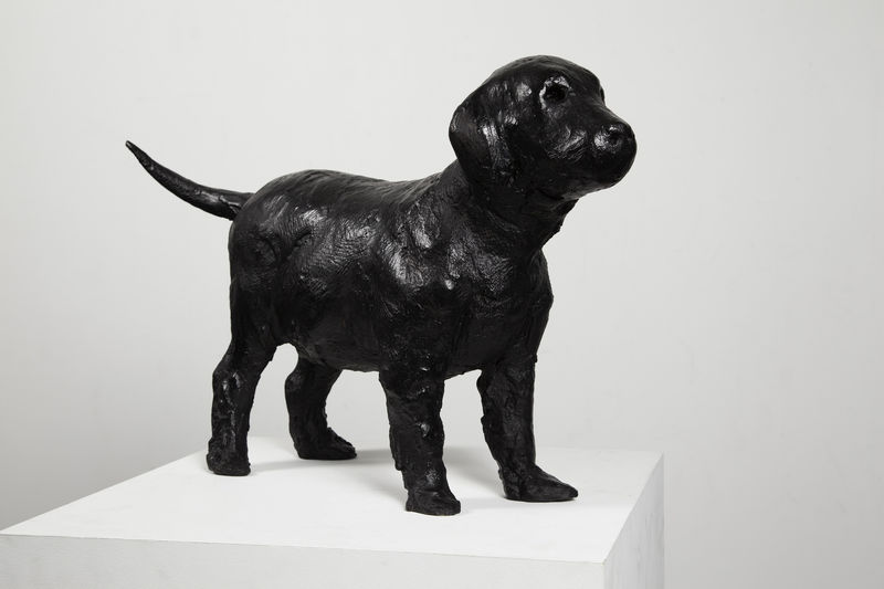 Nicola Hicks Puppy, 2004